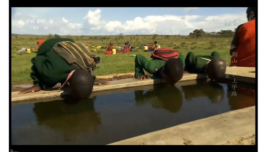 非洲小孩艰难的上学路：每天都在赌命，要是没回家就是被狮子吃了