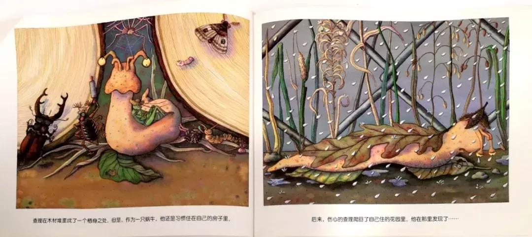 蜗牛躲在小房子里不出来怎么办,没有蜗牛壳的蜗牛是怎么回事