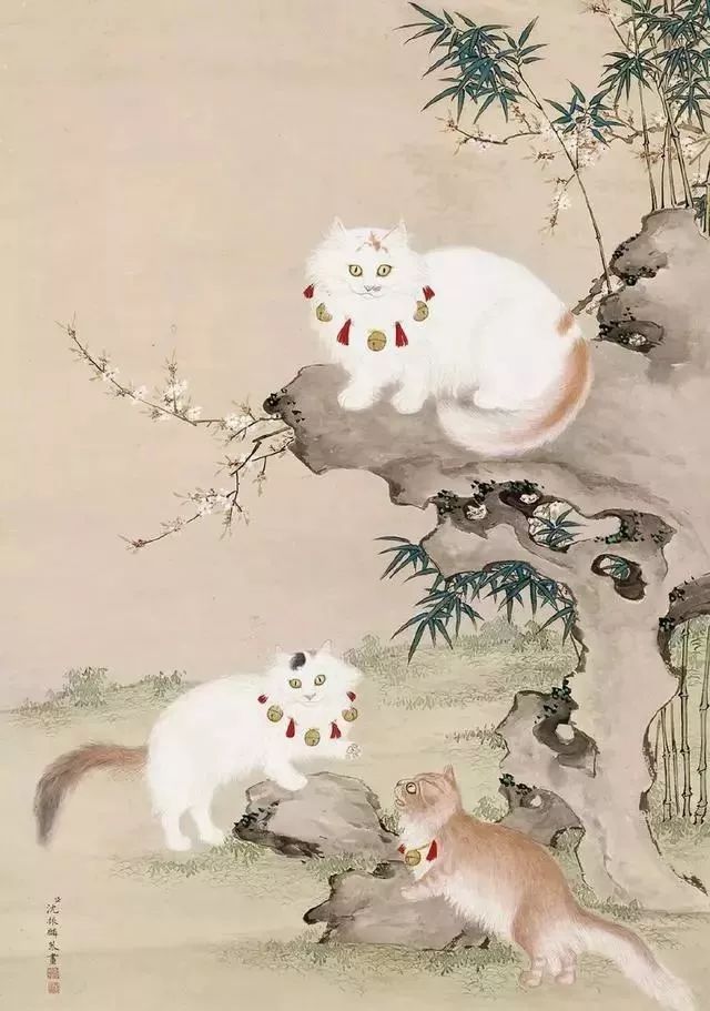 你属什么我属你,有属猫的生肖吗