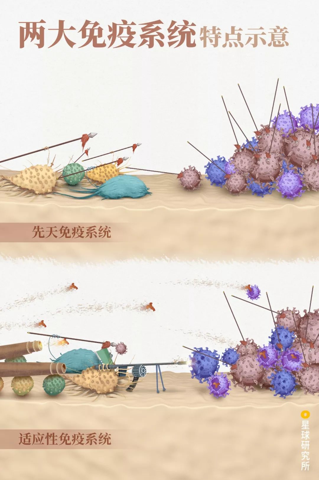 医生和病毒作战,我们如何对付病毒