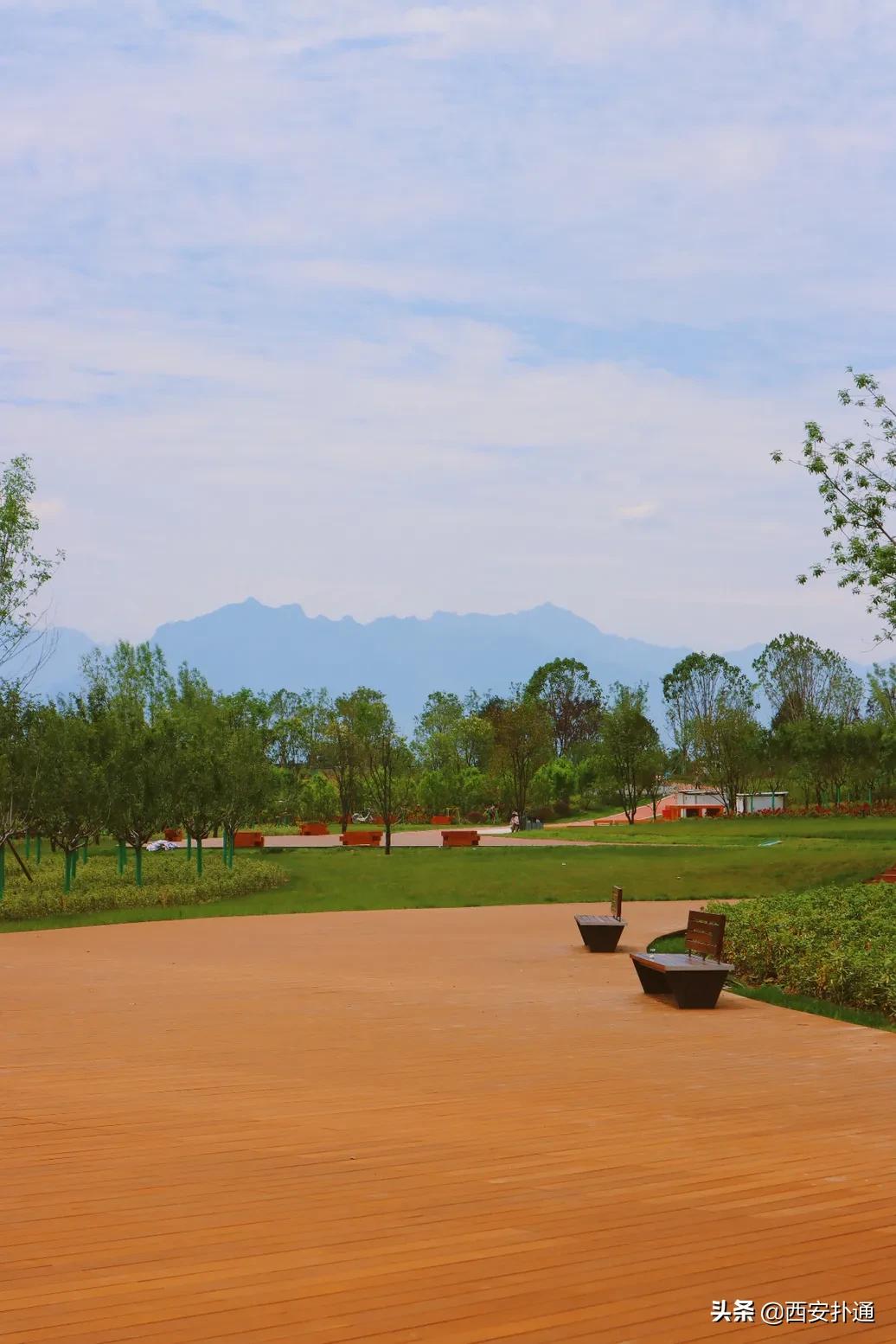 西安大草坪公园推荐,西安有大草坪的公园