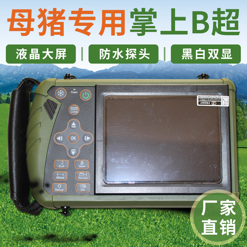 手把手教你给母猪授精,母猪人工助产全过程