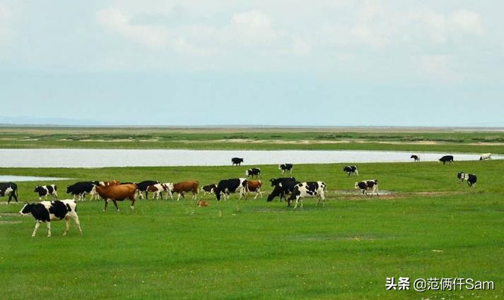 卡乐比麦片还能买吗,卡乐比麦片哪个版本的好吃