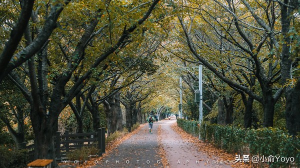 韩国旅游不可错过的景点,韩国不能错过的3部电影