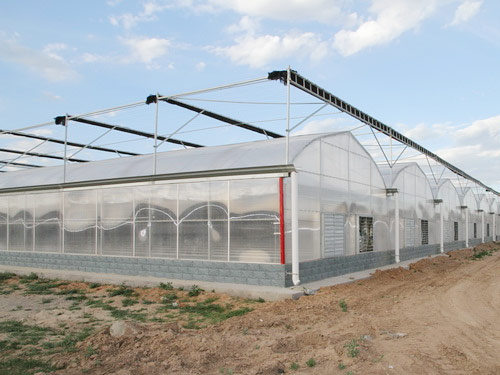 连栋温室大棚用什么薄膜年限最久,连栋薄膜温室大棚搭建方式和方法