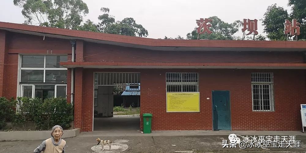 绿皮车成渝铁路上运行,川黔铁路最后的绿皮车