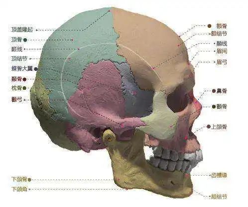 衣架套在头上会转是真的吗,衣架反射是真的吗