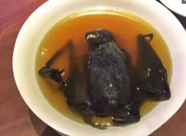 吃野味补肾，喝药酒祛风除湿？是谁打开了潘多拉的盒子