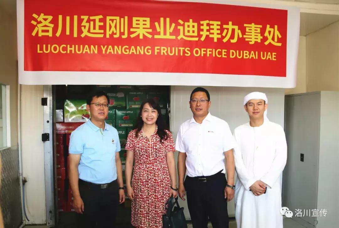 成了！洛川苹果迪拜办事处成立