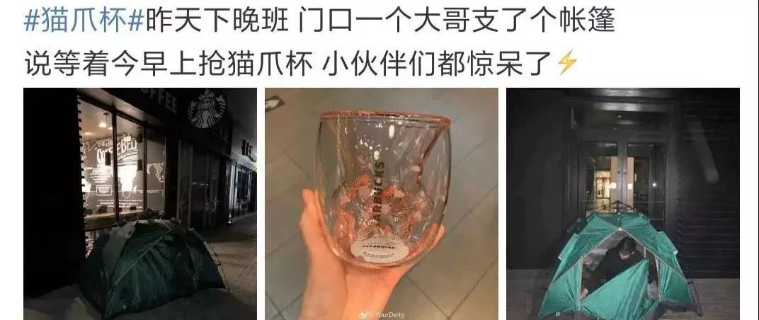 养猫划算还是撸猫划算,到底是养猫容易还是养女朋友容易