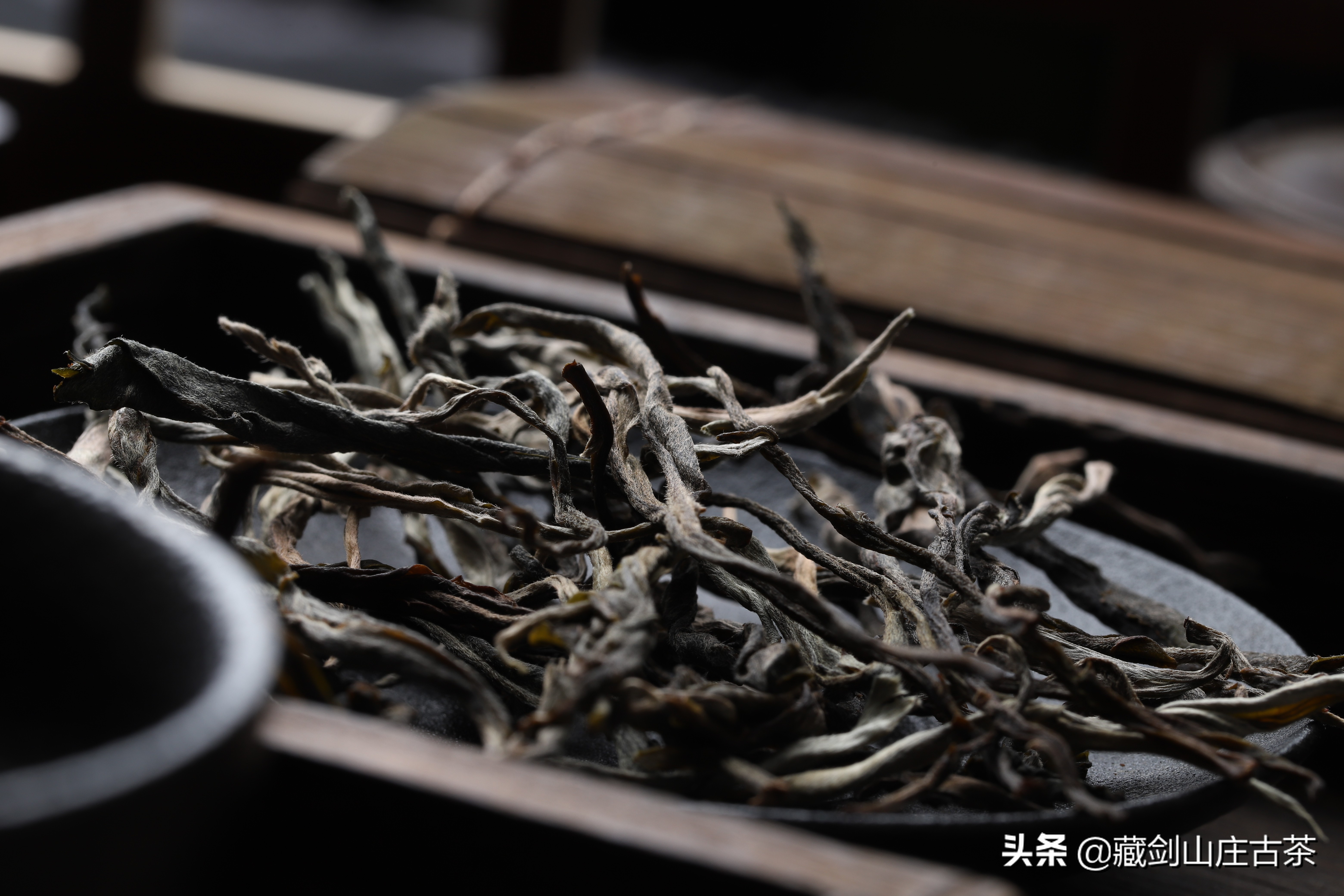 郭少华蓝根印记,郭少华原版视频