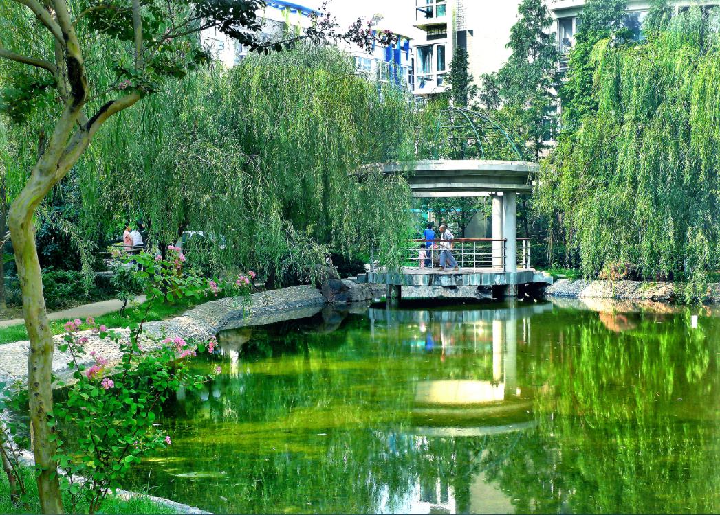 正能量的诗和远方,正商未来之光