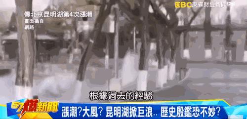 一进门就看见小蜜蜂在追着神奇女侠