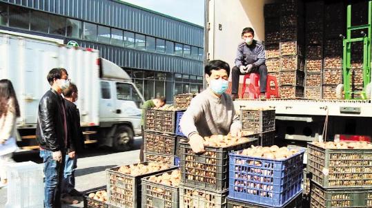 动动手指投上您宝贵的一票,动动手指投一票