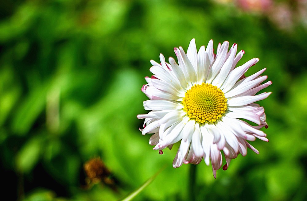 十二星座中谁跟天蝎最合适,十二星座谁最能读懂天蝎