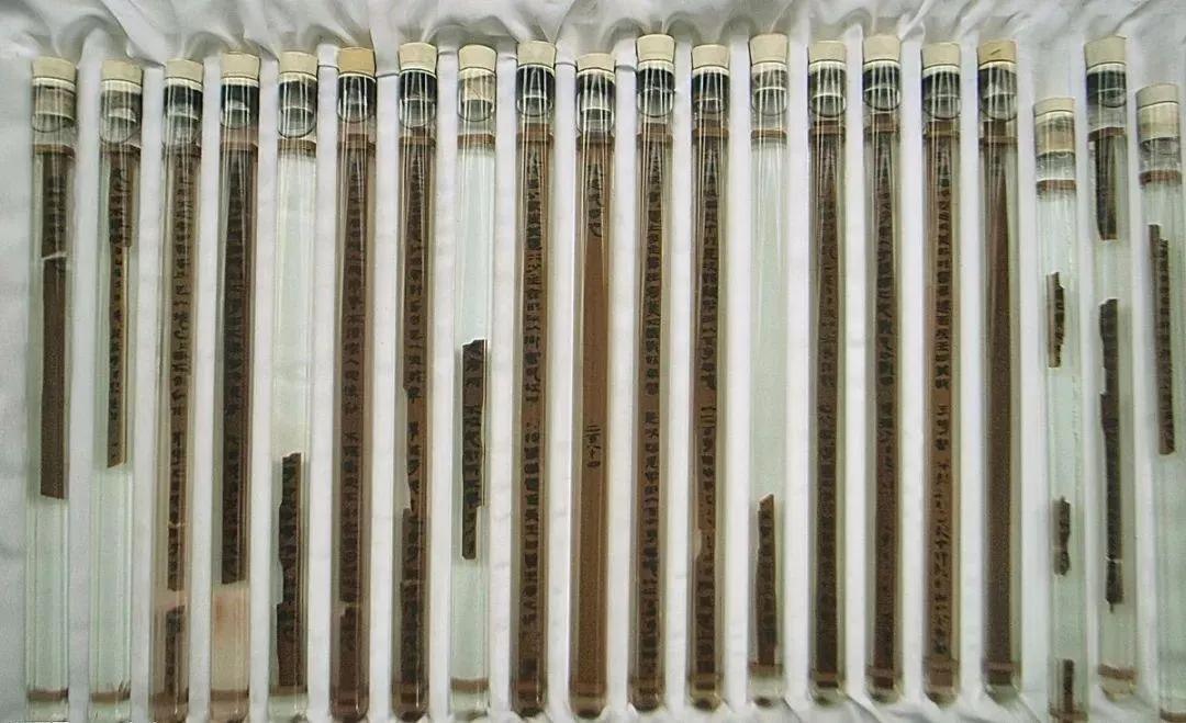 ​“要想富挖古墓”？民族罪人，任何恶毒语言形容盗墓贼都不为过