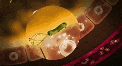 一张嘴臭牙齿就臭怎么办,一张嘴就口臭小妙招