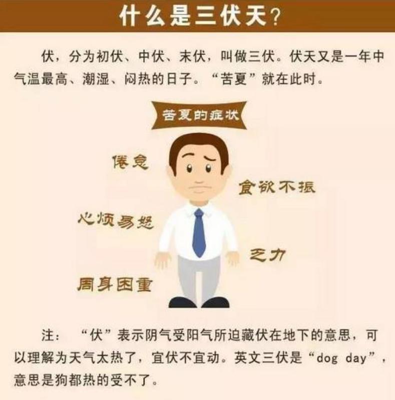 什么时候入伏第三伏天,三伏天入伏注意什么