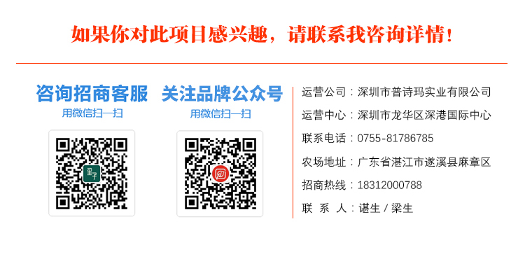 生鲜散养土鸡,乡村原生态土猪土鸡土鸭生鲜店