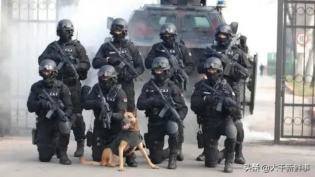 世界十大，不不不！是十支特种作战力量图赏