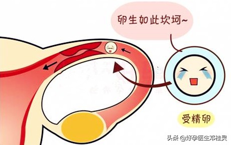 测到有排卵试孕了还是没怀孕？医生说：这4点全做，好怀孕远不了