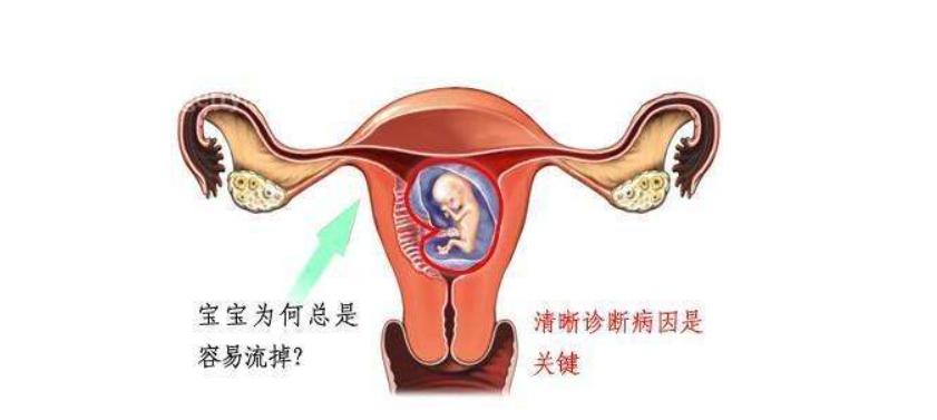 世上最难的职业——孩子妈，31岁妈妈怀孕5次终得女