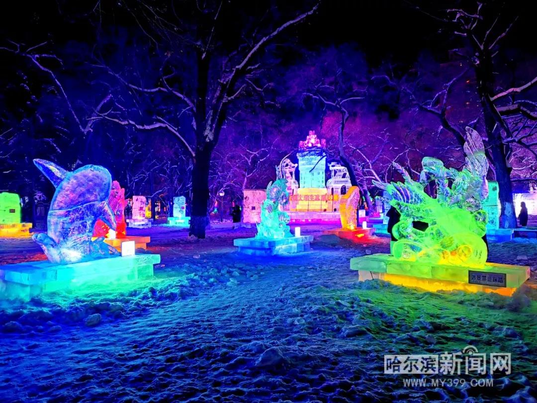 哈尔滨兆麟公园冰灯免费开放时间,哈尔滨第一届冰灯游园图片