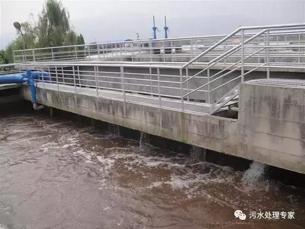 解析：生物硝化和反硝化如何消除水中氨氮