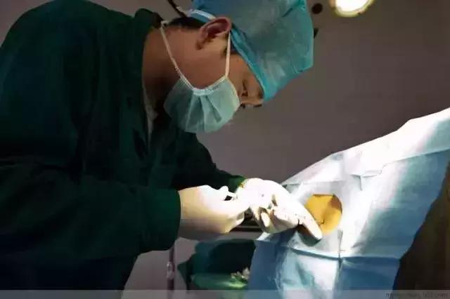 剖腹产术后4小时恢复知觉正常吗,剖腹产术后咳嗽怎样快速恢复