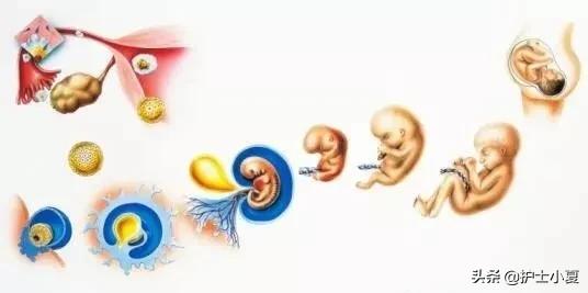 远离妇科病的最佳方法,女性远离妇科疾病的3个方法