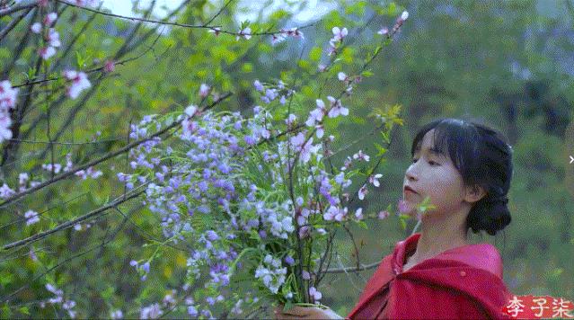 菜吧：又火了！李子柒“鲜花宴”再次火爆全网！数千万网友看酸了
