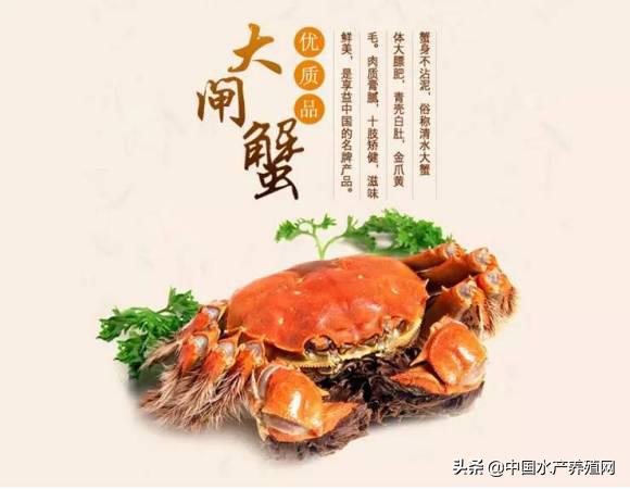 亩利润1万,年年赚钱的螃蟹怎样养?,一高淳|当涂|宣城产区《河蟹养殖优秀案例精选.2021》