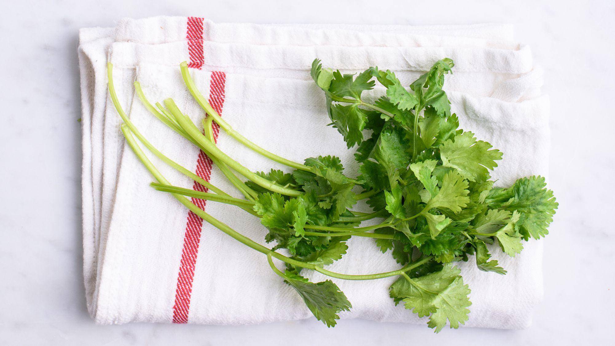 罗意威闻着像飘柔的香水,罗意威是沙龙香吗