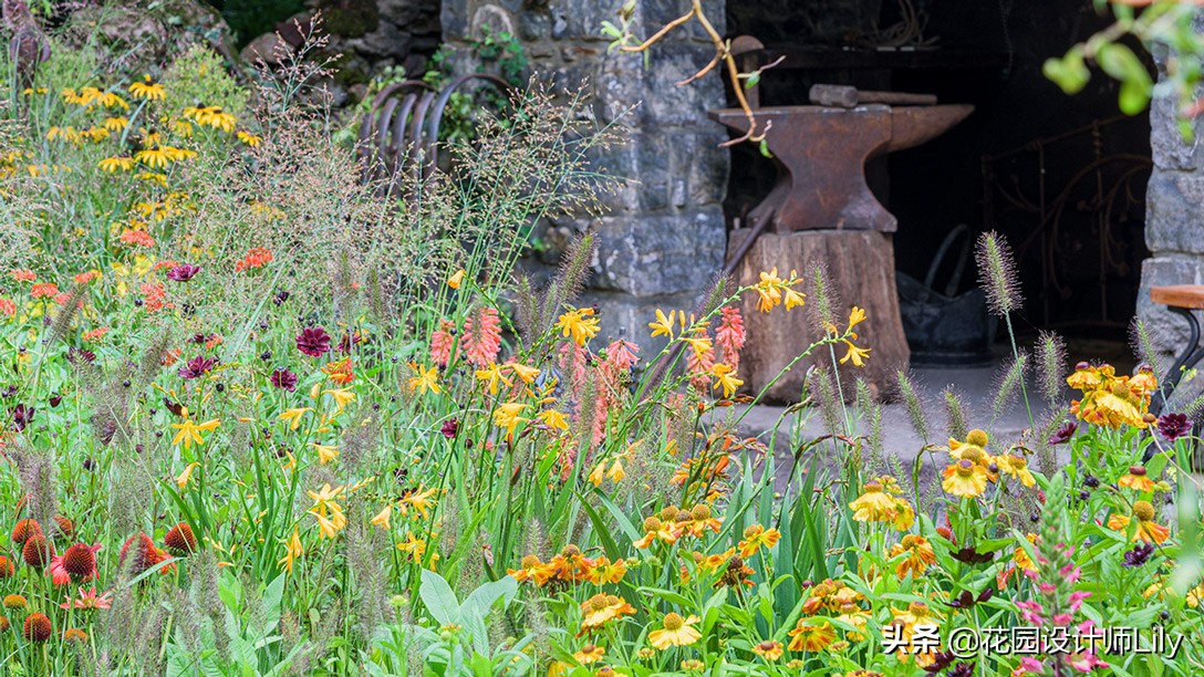 2023年切尔西花展各个花园的介绍,切尔西花展最佳花园