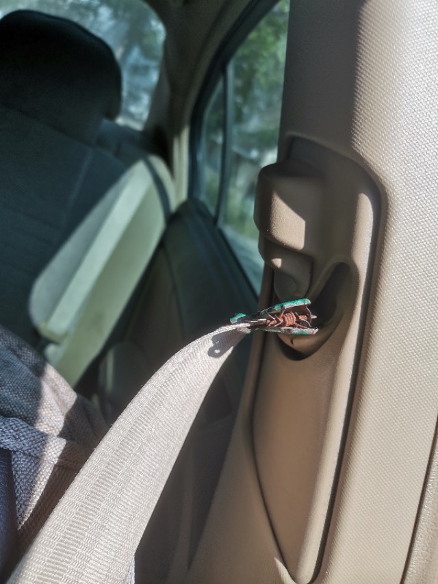 安全带修复后不回收怎么解决,安全带解扣不自动收回