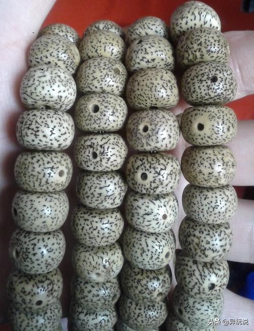 新手星月菩提适合买多大的,星月菩提4大禁忌