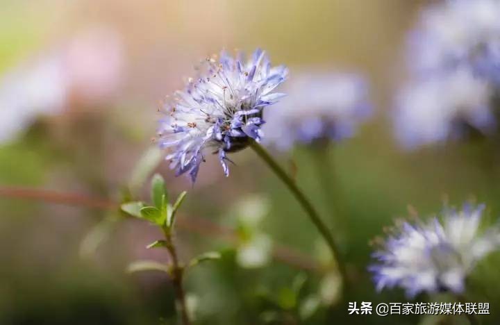 中国各城市的别称大全,中国各大城市的别称