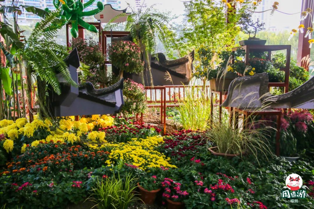 福州菊花展21年还有吗,福州西湖菊花展人山人海