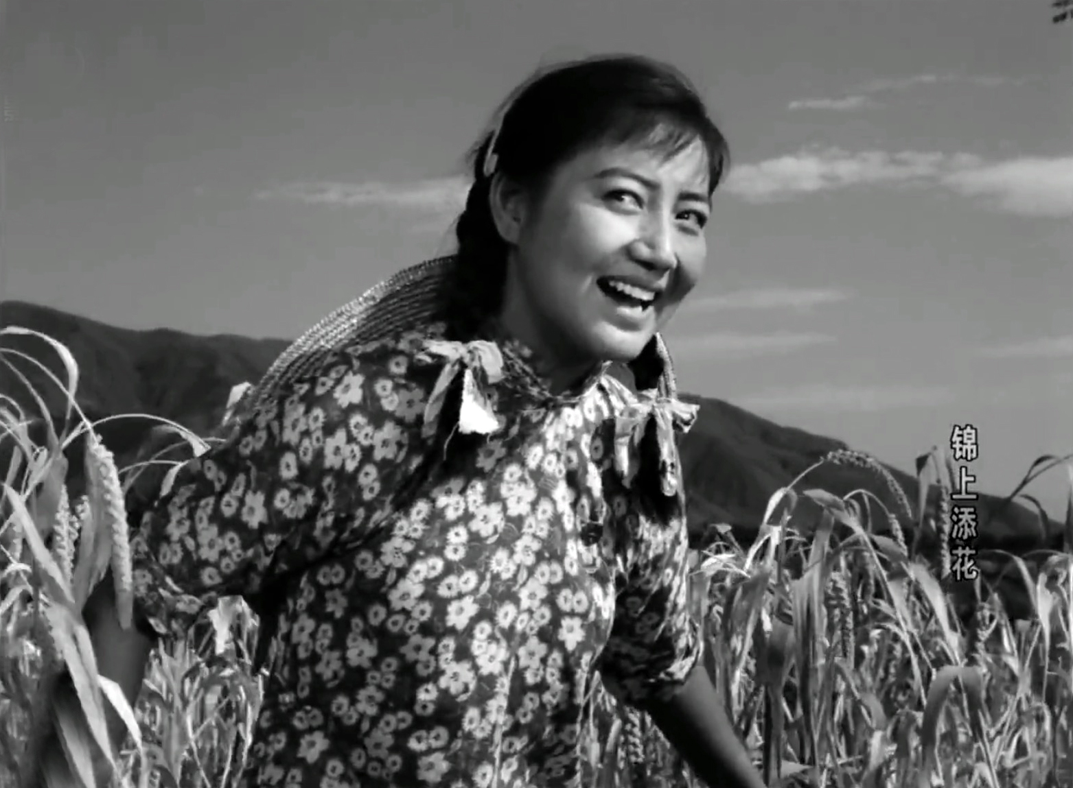 100部经典老电影之地雷战,地雷战经典老电影100部