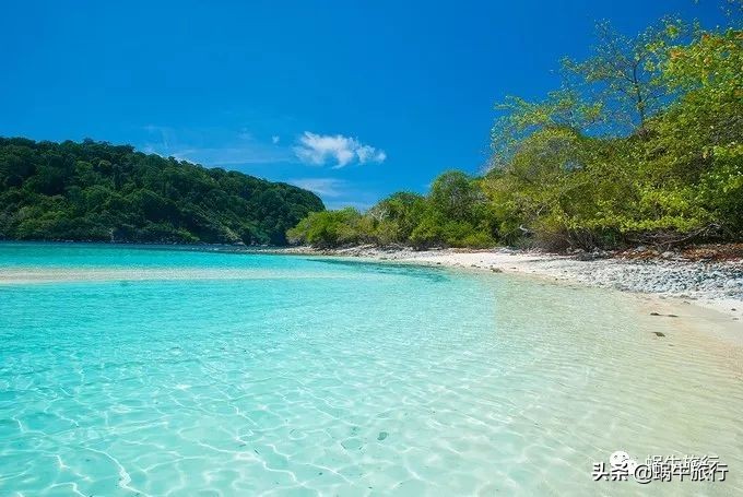 巨蜥像退休大爷休闲漫步；满海的活珊瑚、海葵…国家公园开岛啦