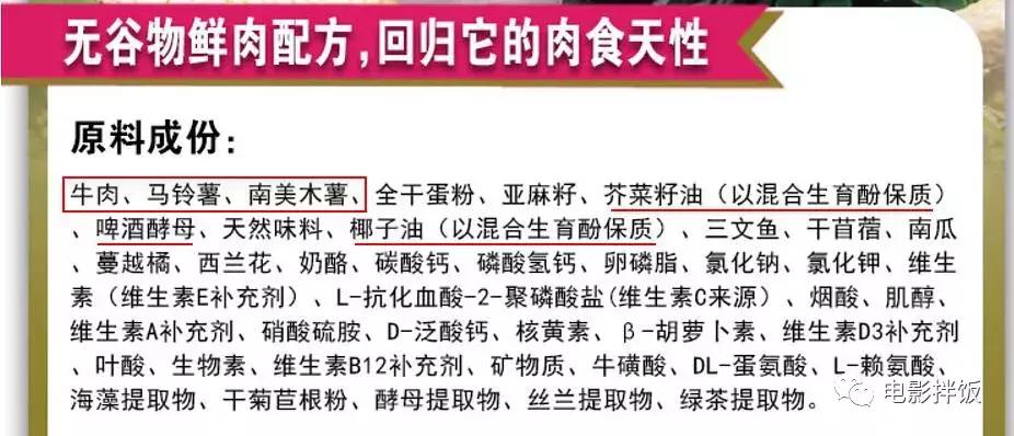 新手养猫第一天猫咪害怕怎么办,新手铲屎官养猫知识