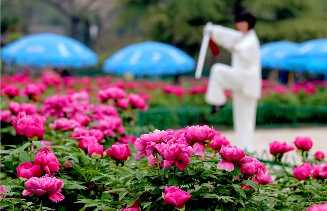 从卫星上看现在的河南,卫星河南洛阳