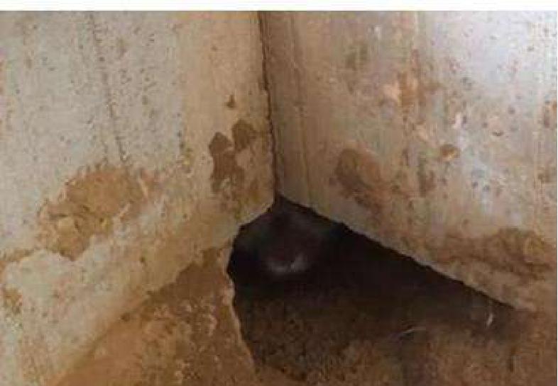 山村古宅发现怪异声,老宅怪声未解之谜