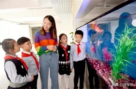 成都市课后服务,成都市马家沟小学在哪条路上