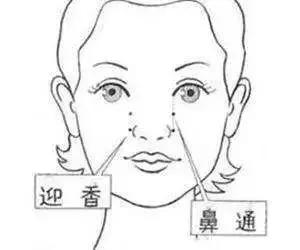 对付鼻炎小妙招植物,对付鼻炎最好的药