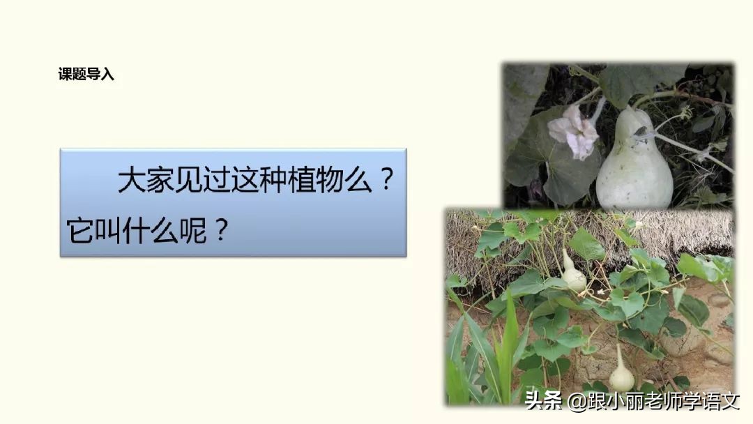 二年级我要的是葫芦的寓意是什么,二年级我要的是葫芦说明什么道理