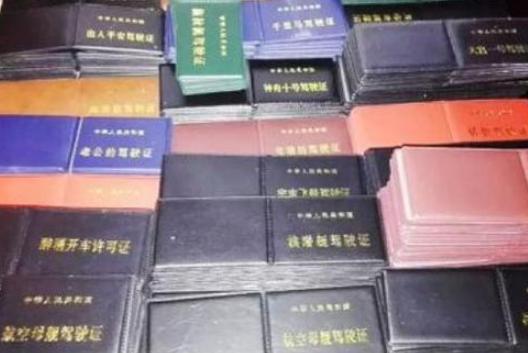 中国最牛驾驶证是什么证,最牛驾驶证a1a2d哪里可以考