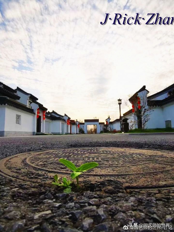 城市蔬菜园景观设计,蔬菜花园造型