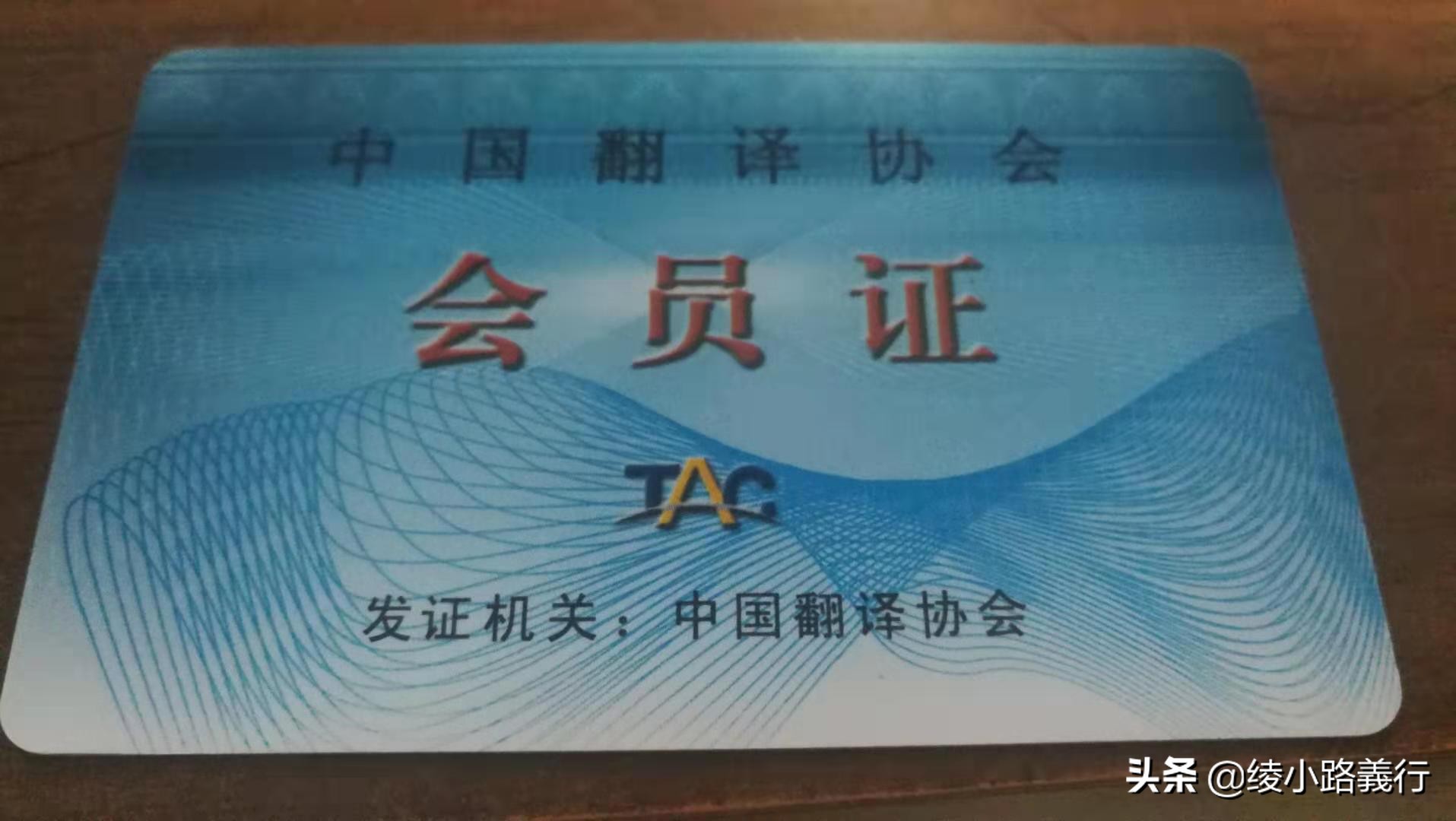 告别《电子游戏软件》老腊肉、变身动漫小萌新和00后一起竞争青云