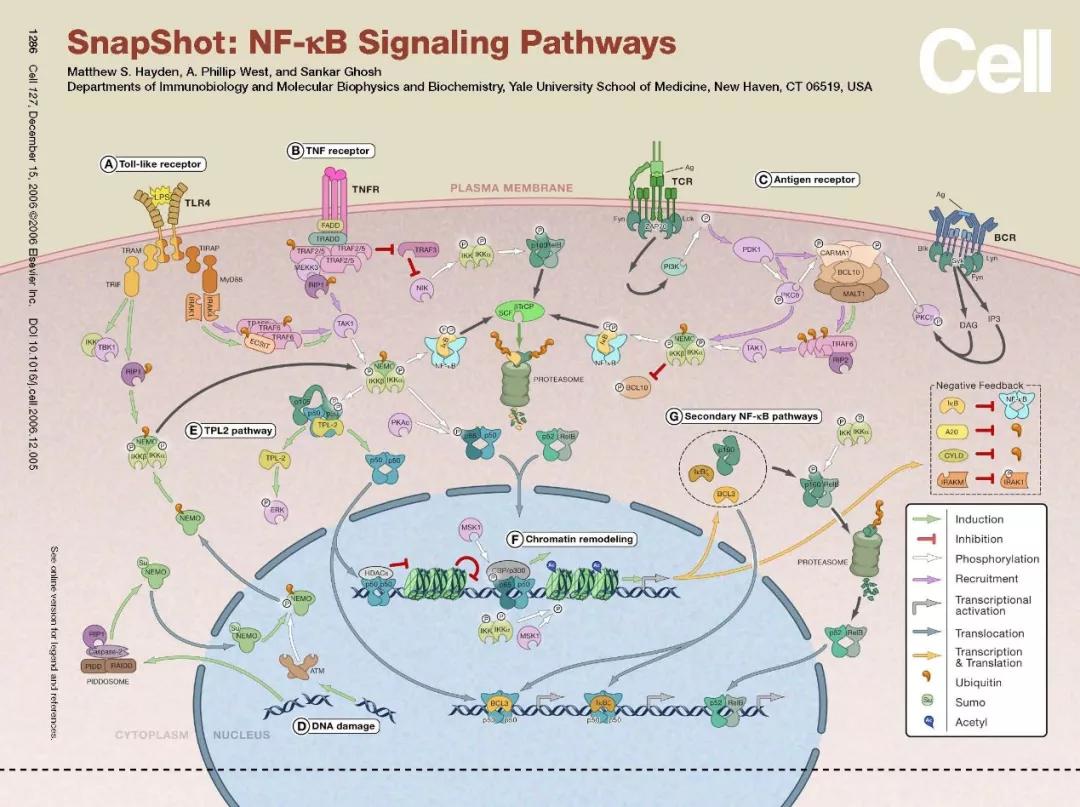 硬货的解析,硬货必买的10种